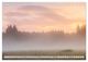 Thumbnail-12