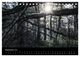 Thumbnail-11