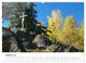 Thumbnail-12