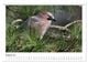 Thumbnail-13