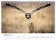 Thumbnail-14