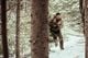 Thumbnail-10