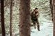 Thumbnail-10