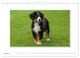 Thumbnail-13