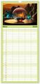 Thumbnail-9