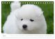 Thumbnail-9