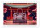 Thumbnail-8
