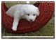 Thumbnail-14
