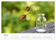 Thumbnail-12