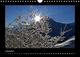 Thumbnail-12