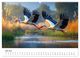 Thumbnail-11