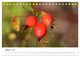 Thumbnail-12