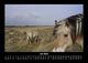 Thumbnail-11