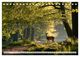 Thumbnail-11