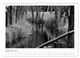 Thumbnail-14