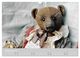 Thumbnail-11