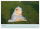Thumbnail-11
