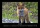 Thumbnail-10