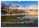 Thumbnail-8