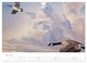 Thumbnail-11
