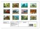 Thumbnail-8