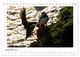 Thumbnail-11
