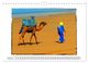 Thumbnail-13