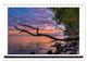 Thumbnail-11