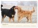 Thumbnail-11