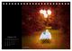 Thumbnail-11