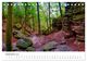 Thumbnail-11
