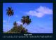 Thumbnail-12