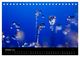 Thumbnail-12