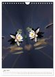 Thumbnail-11