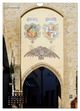 Thumbnail-8