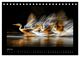 Thumbnail-9