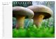 Thumbnail-13
