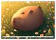 Thumbnail-10