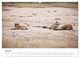 Thumbnail-11
