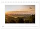 Thumbnail-9