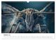 Thumbnail-12