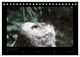 Thumbnail-13