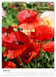 Thumbnail-13