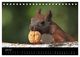 Thumbnail-11
