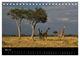 Thumbnail-10