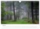 Thumbnail-9