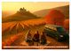 Thumbnail-12