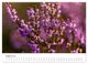 Thumbnail-10