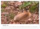 Thumbnail-14