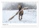 Thumbnail-14